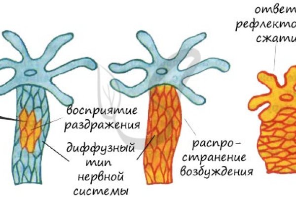 Кракен дарк шоп