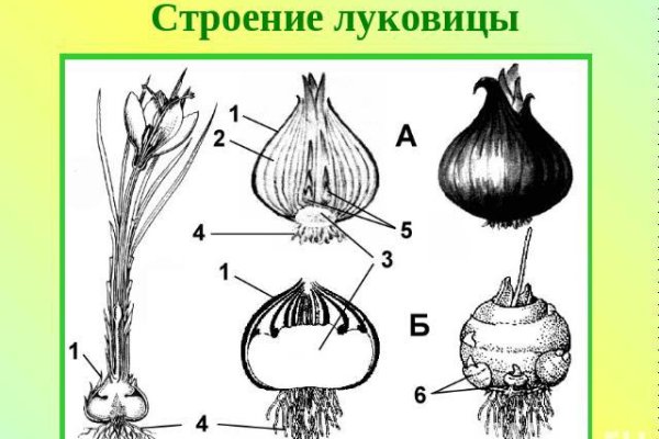 Новая ссылка на кракен
