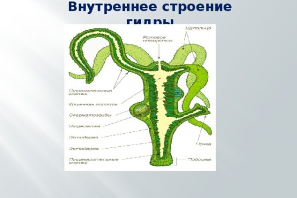 Кракен сайт дарк нет