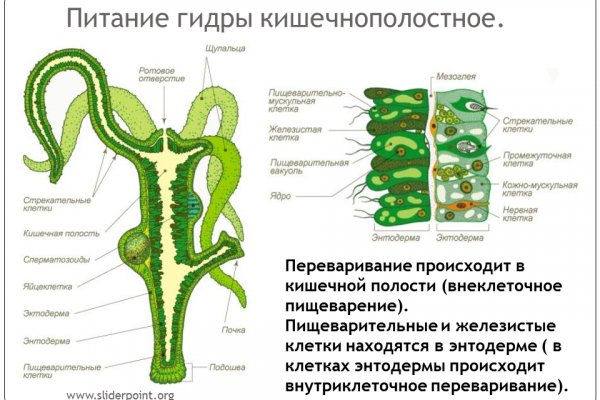 Кракен тор kraken dark