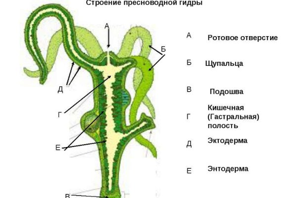 Кракен даркнет ссылка для тор